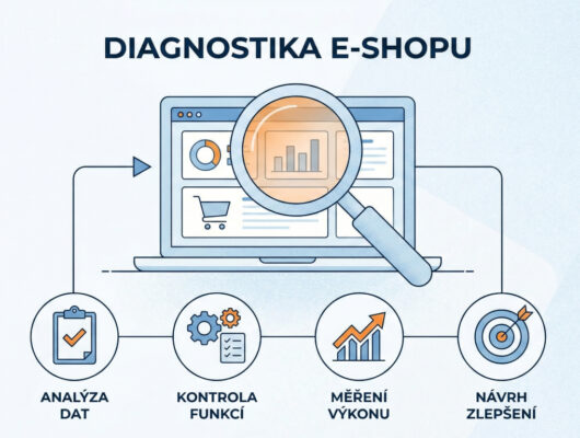 Jak vypadá diagnostika e-shopu
